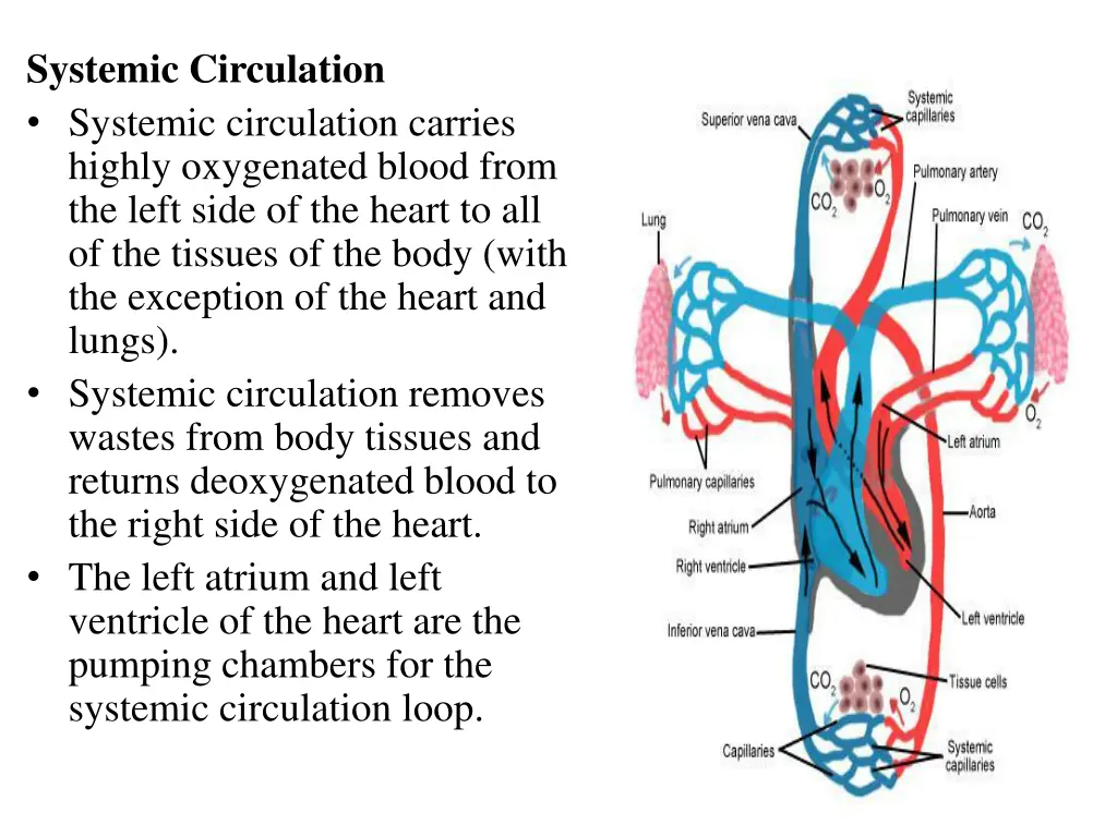 systemic circulation systemic circulation carries