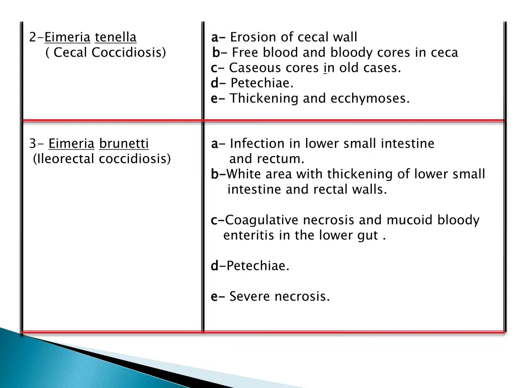 2 eimeria tenella a a erosion of cecal wall cecal