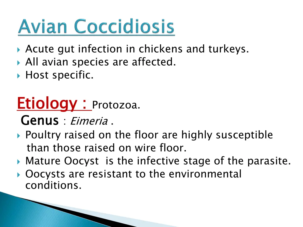 acute gut infection in chickens and turkeys