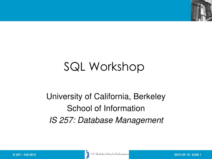 sql workshop