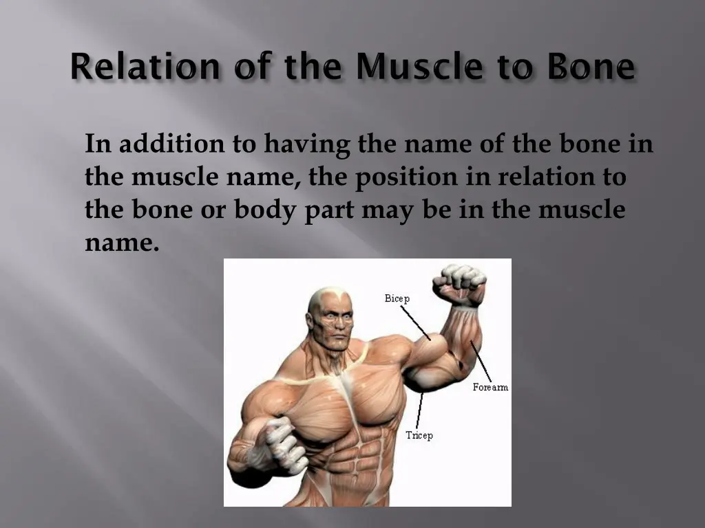 in addition to having the name of the bone