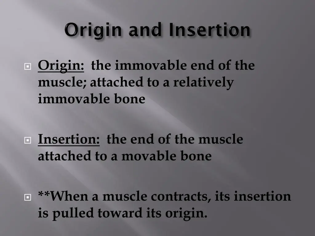 origin the immovable end of the muscle attached