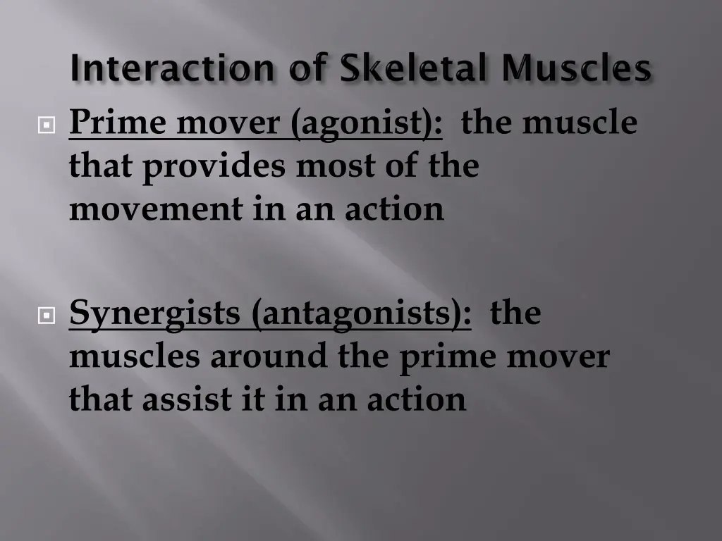 prime mover agonist the muscle that provides most