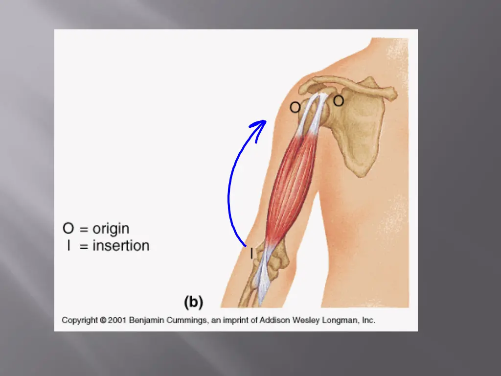 slide3