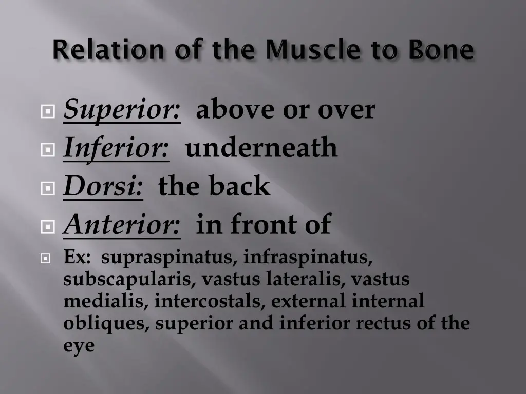 superior above or over inferior underneath dorsi
