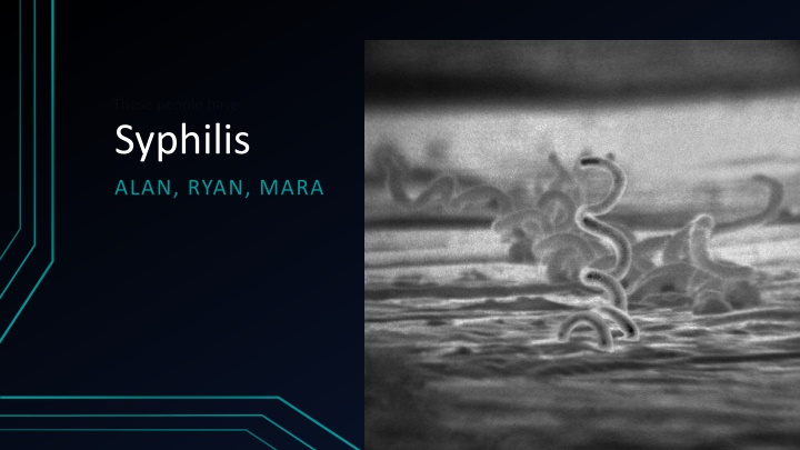 syphilis