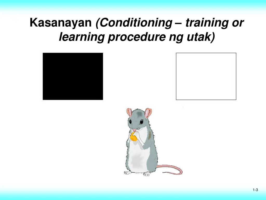 kasanayan conditioning training or learning