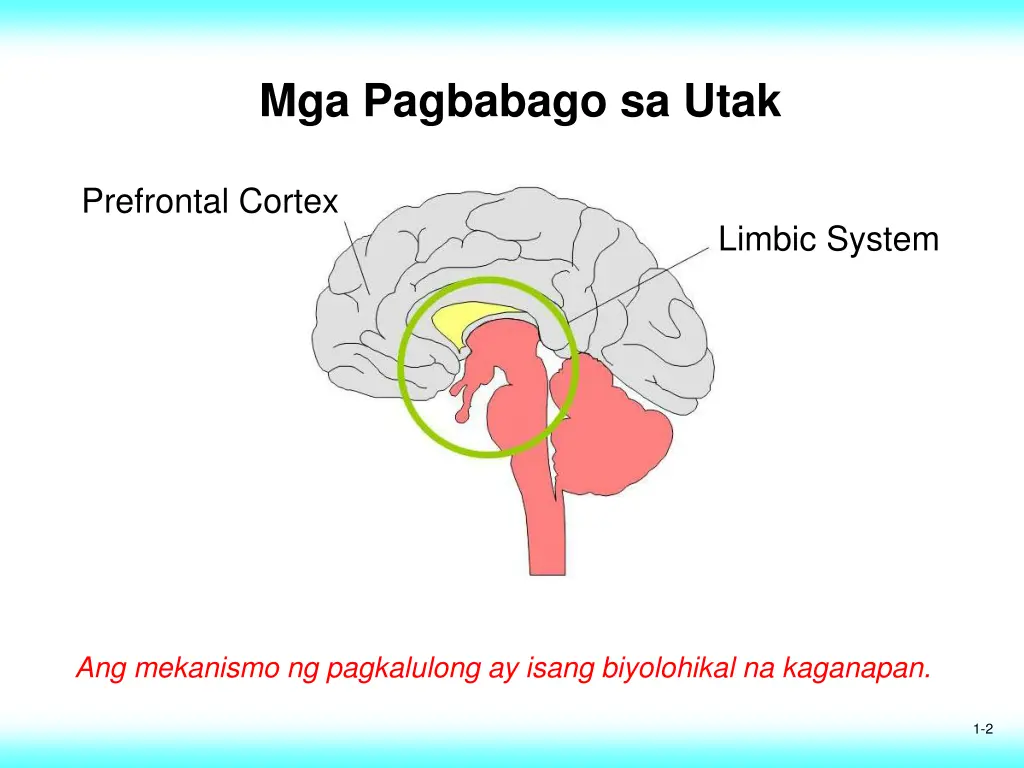 mga pagbabago sa utak