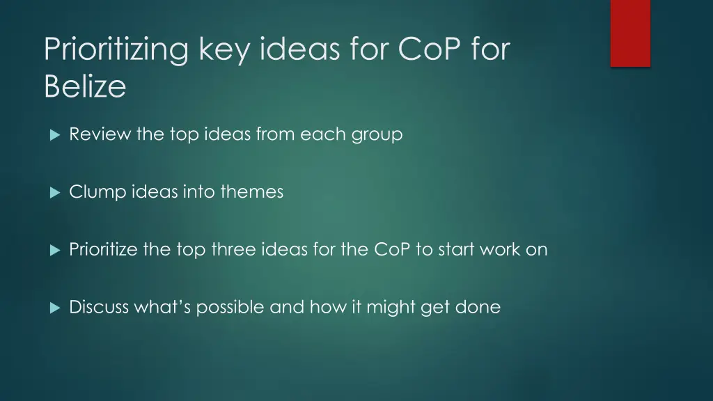 prioritizing key ideas for cop for belize