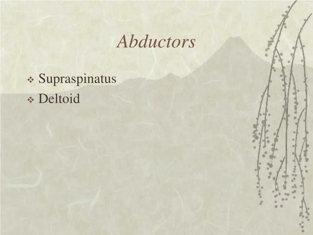 abductors