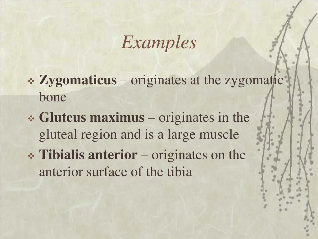 examples