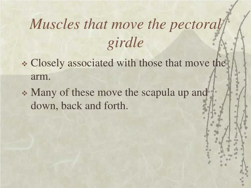 muscles that move the pectoral girdle