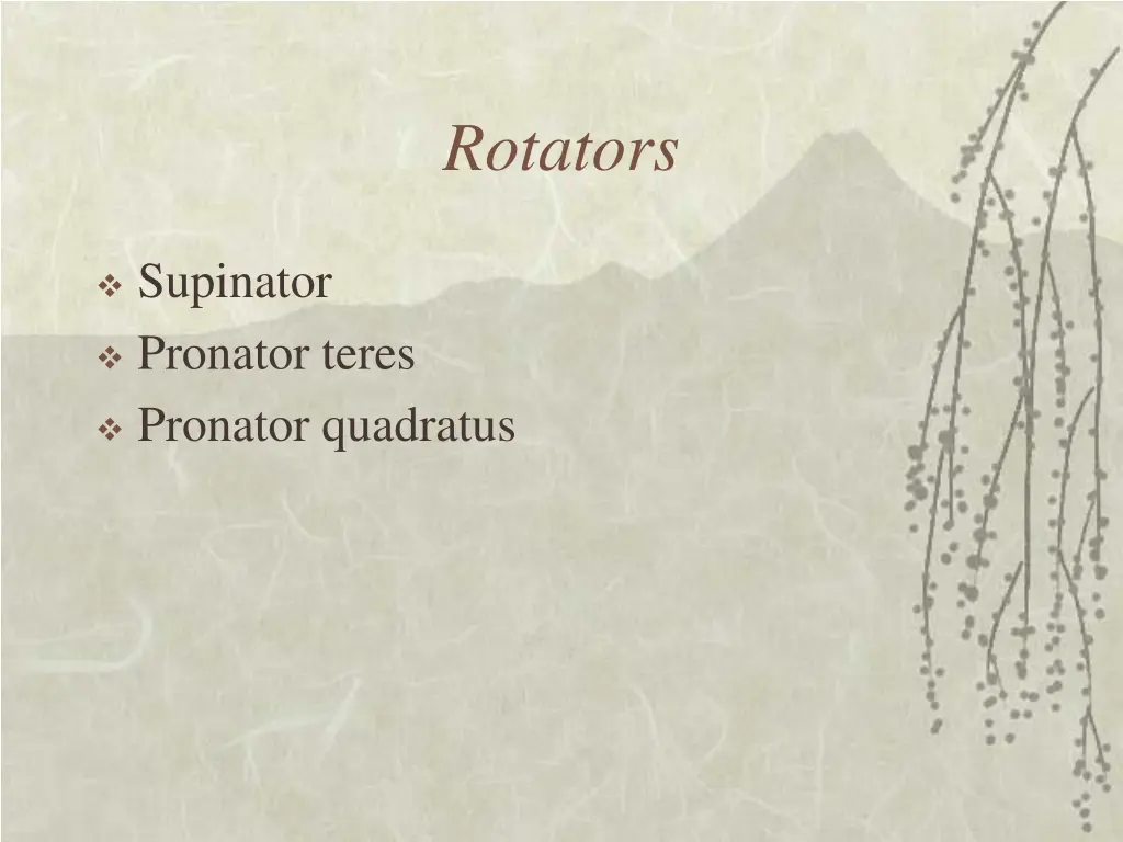 rotators 1