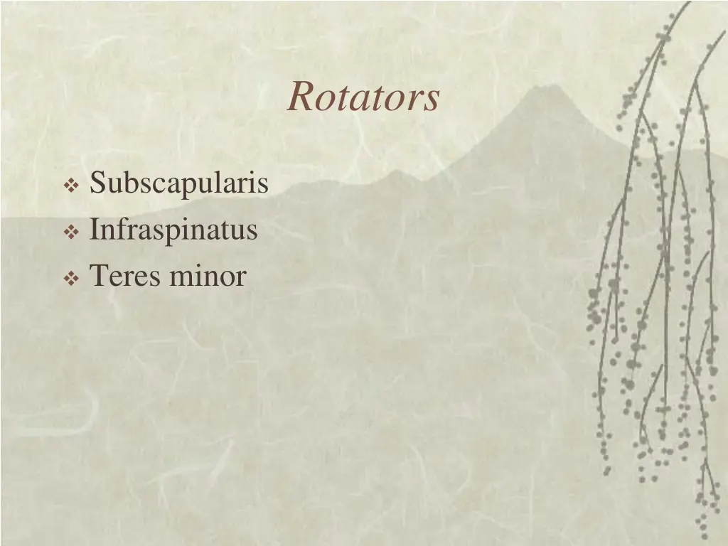 rotators