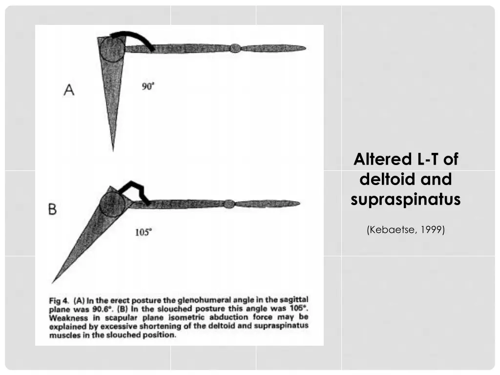 altered l t of deltoid and supraspinatus