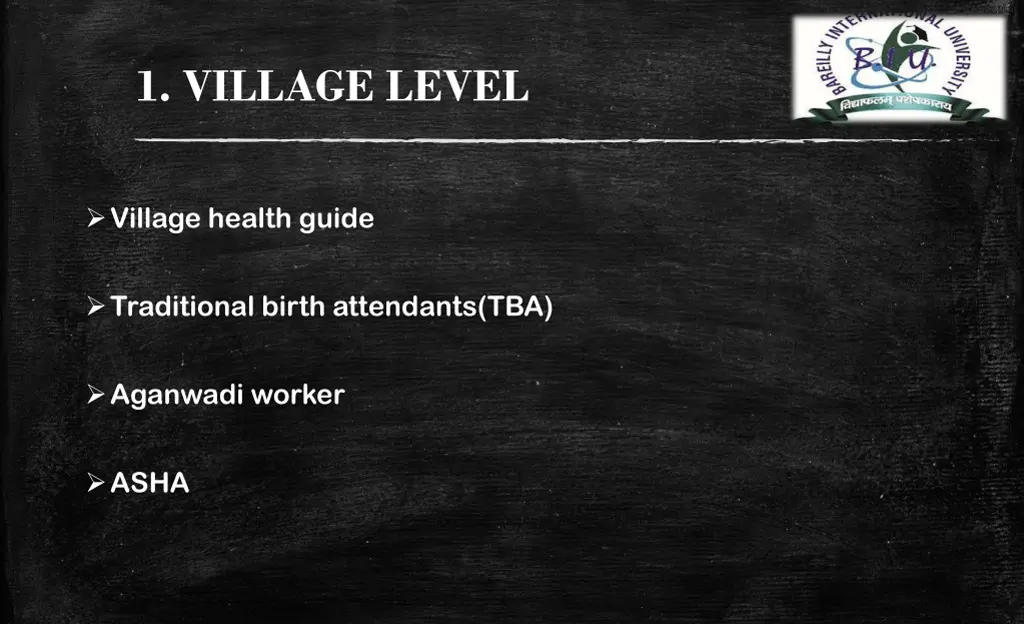 1 village level