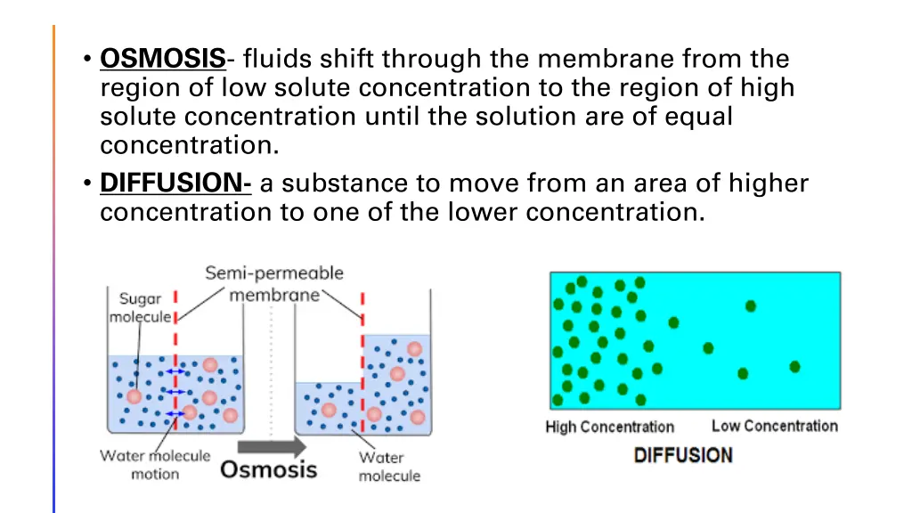 osmosis fluids shift through the membrane from