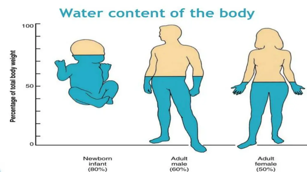 slide2