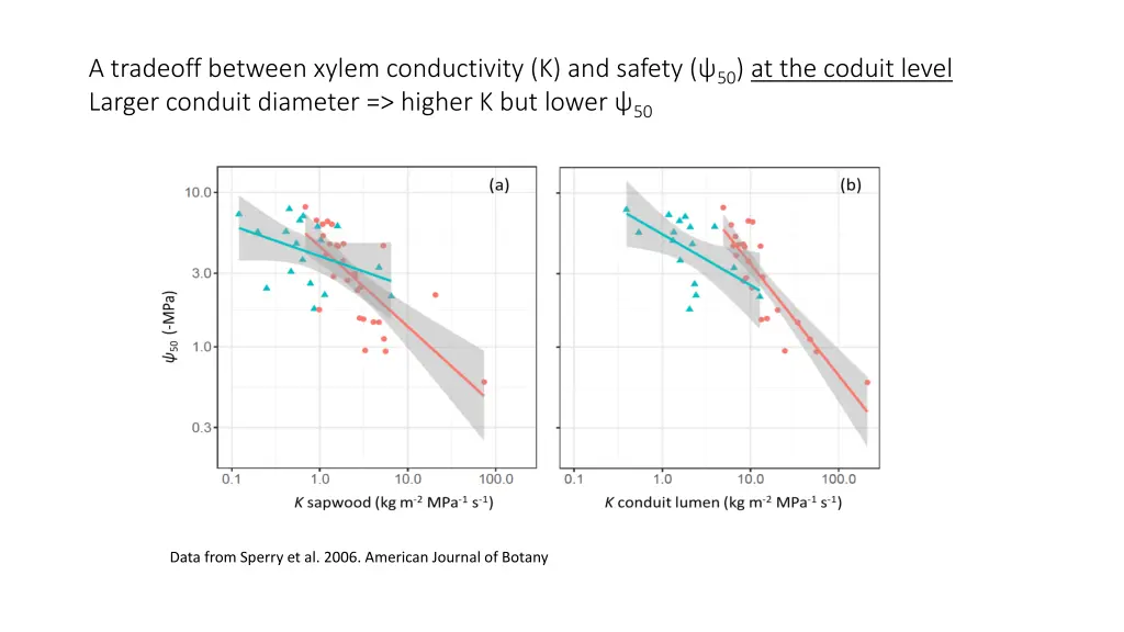 a tradeoff between xylem conductivity