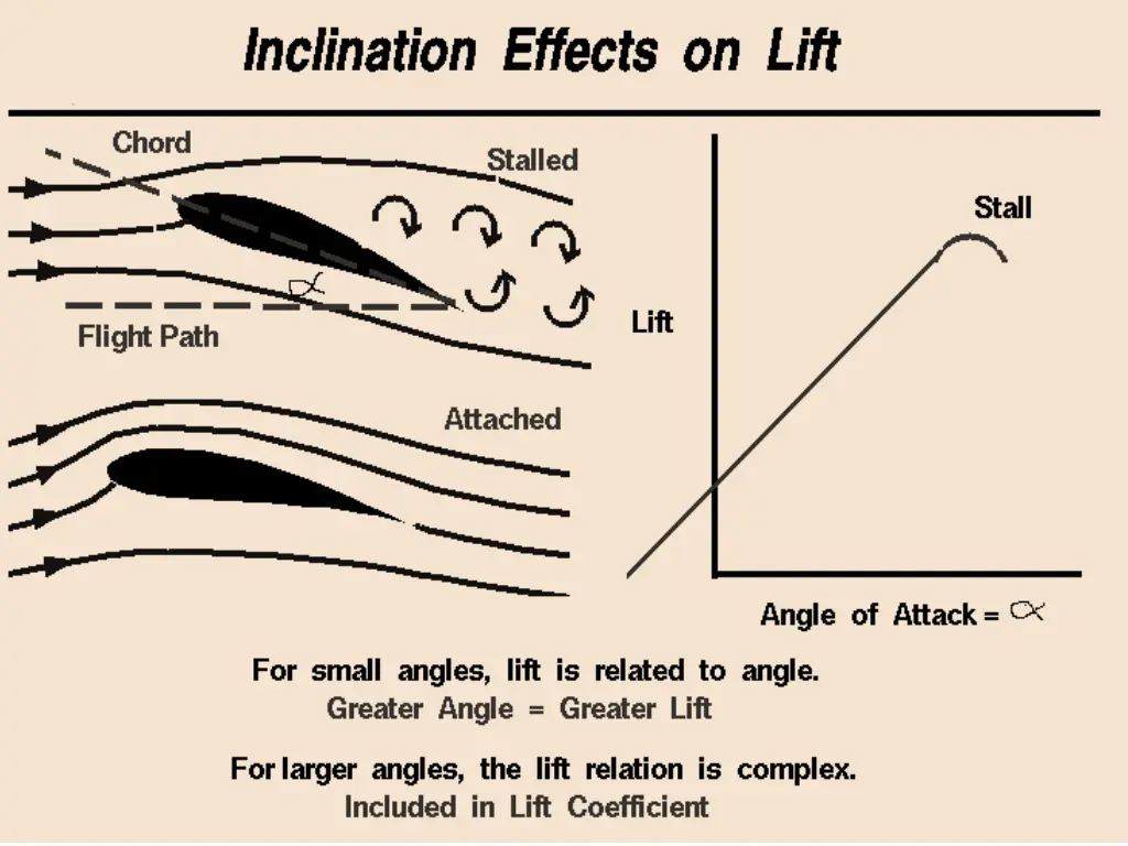 slide19