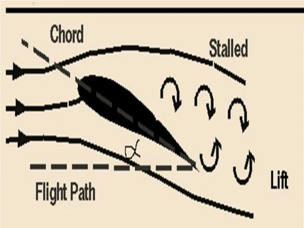 slide20