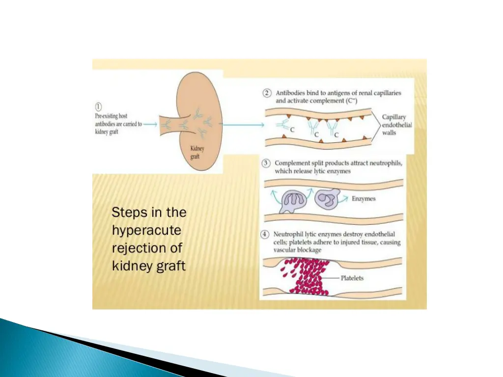 slide5