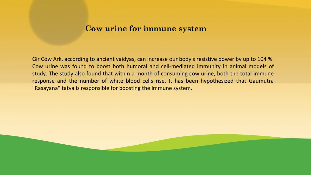 cow urine for immune system
