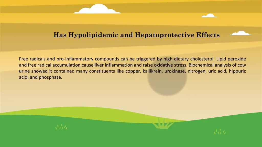 has hypolipidemic and hepatoprotective effects