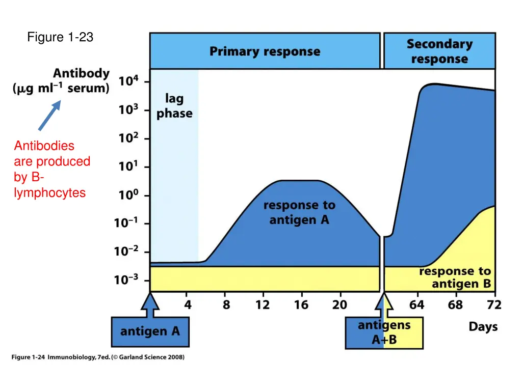 figure 1 23