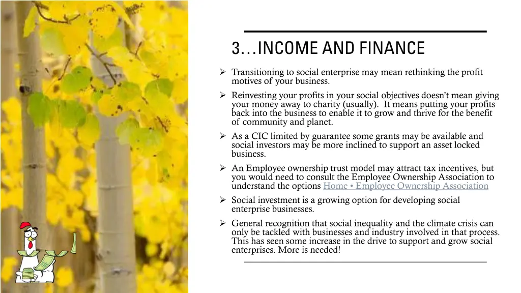 3 income and finance