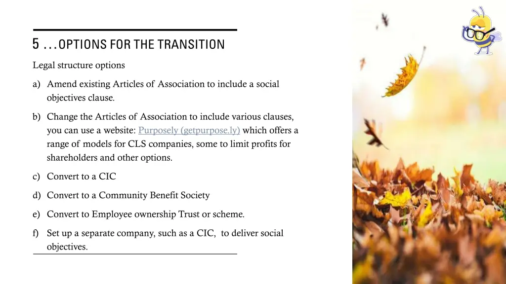 5 options for the transition