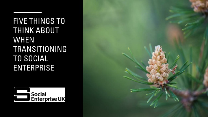 five things to think about when transitioning