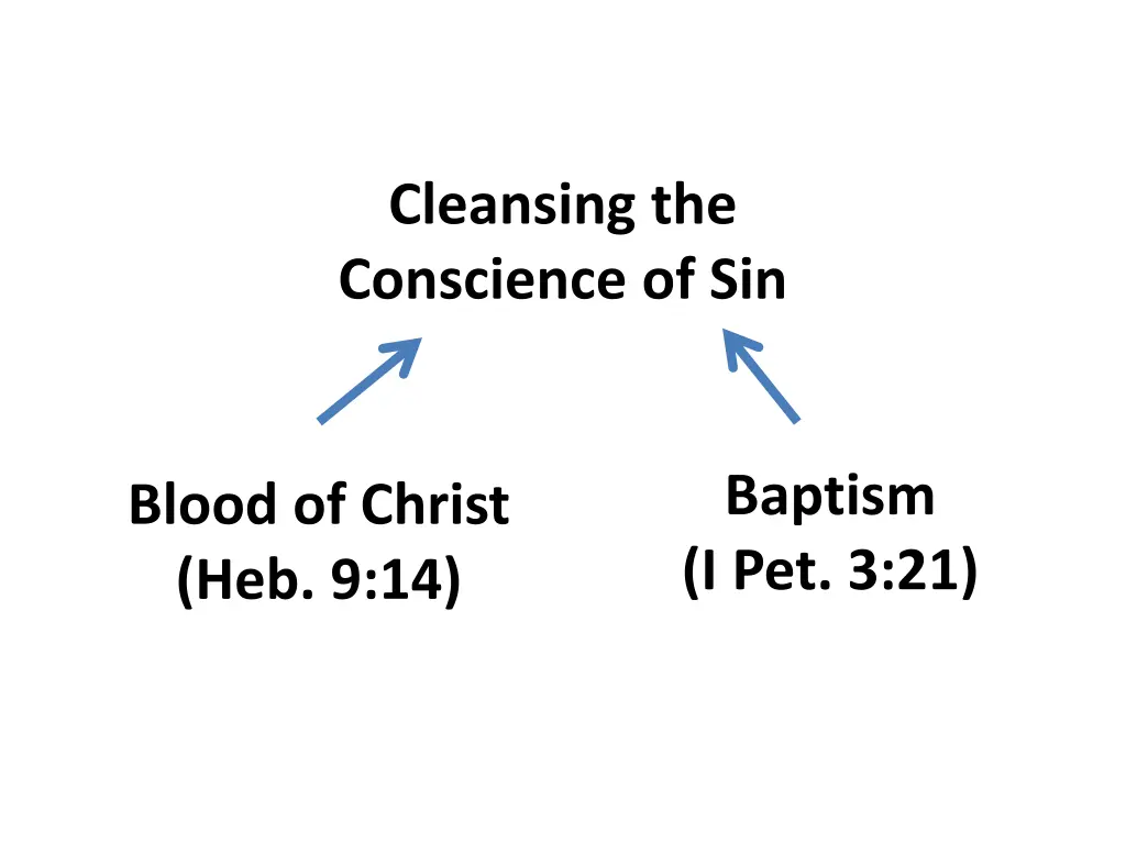 cleansing the conscience of sin