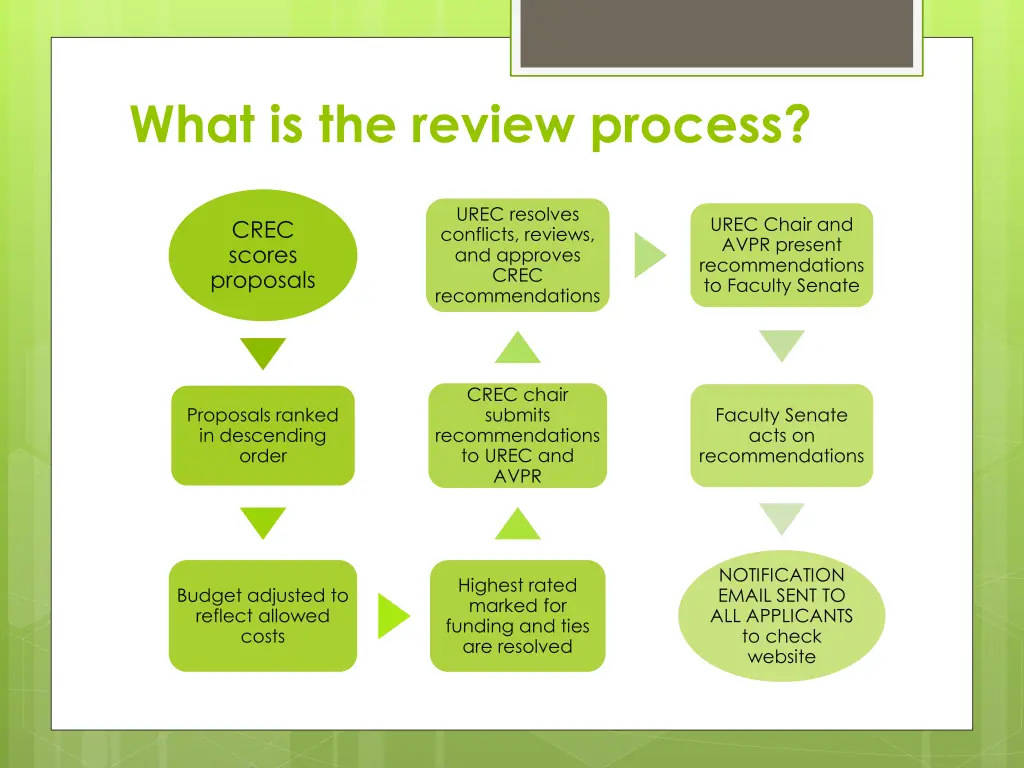 what is the review process