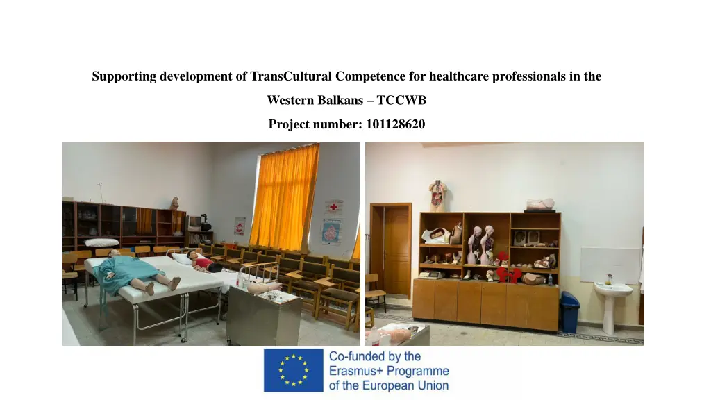 supporting development of transcultural 5