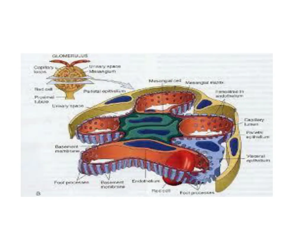 slide2