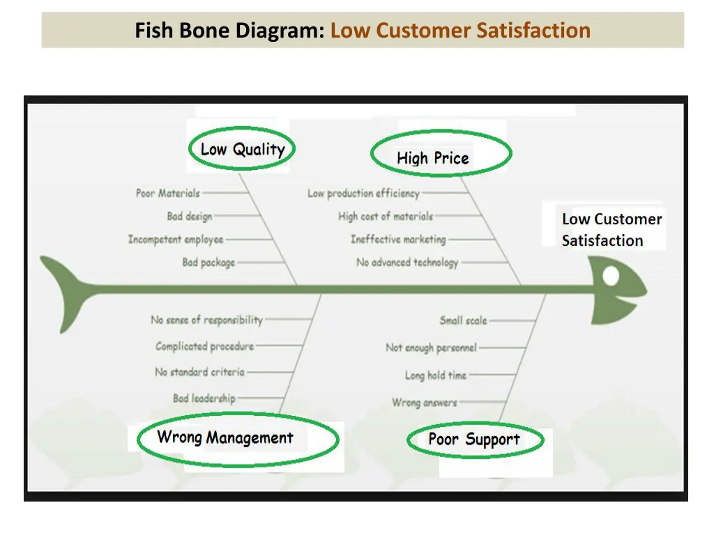 fish bone diagram low customer satisfaction