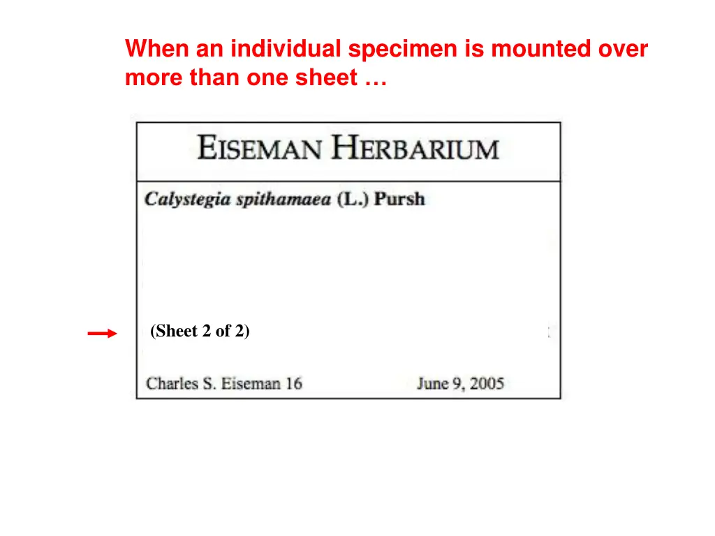 when an individual specimen is mounted over more 1