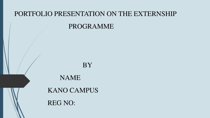 portfolio presentation on the externship