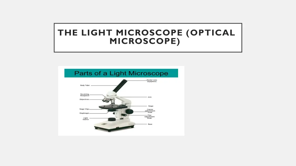 the light microscope optical microscope