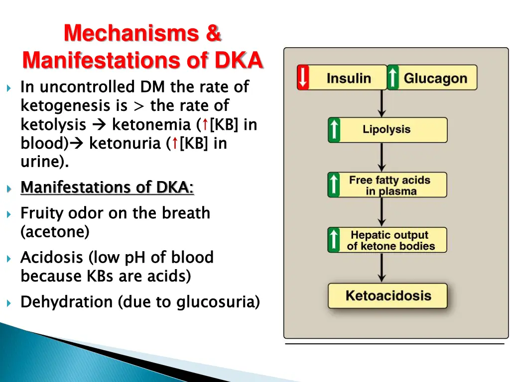 mechanisms manifestations of dka