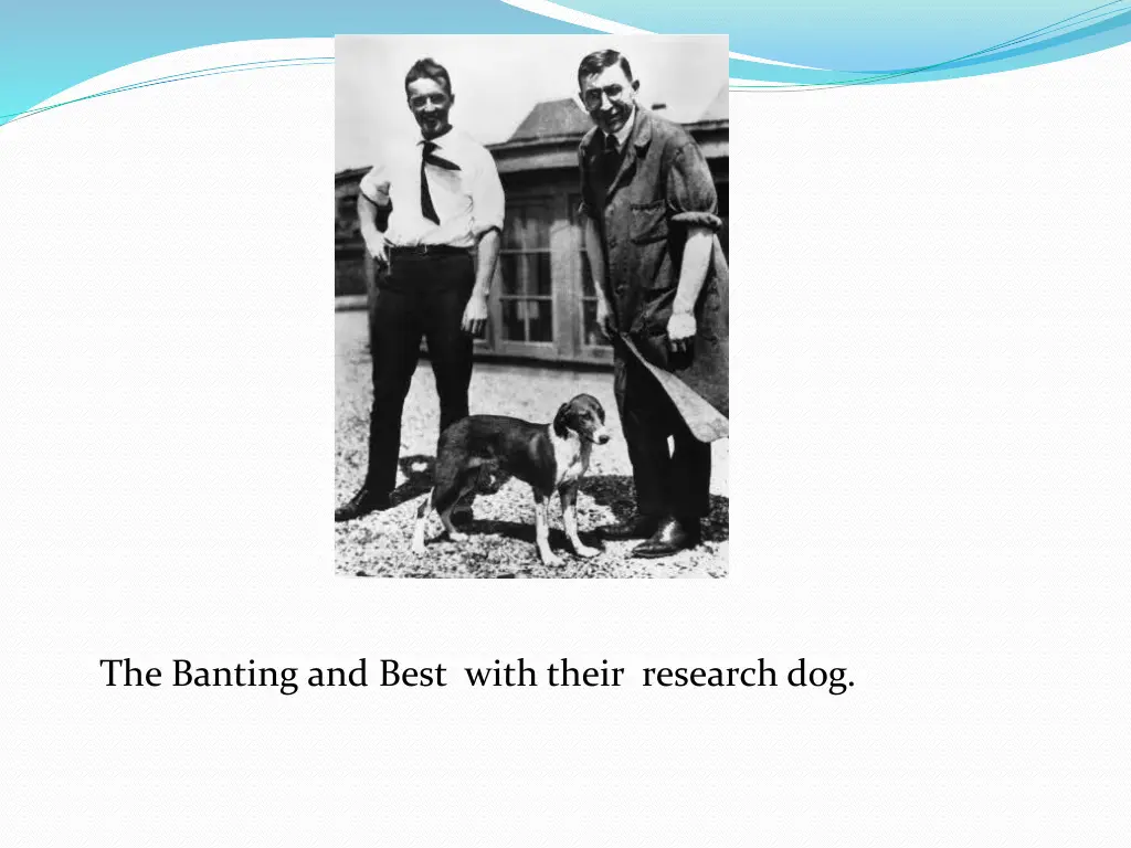 the banting and best with their research dog