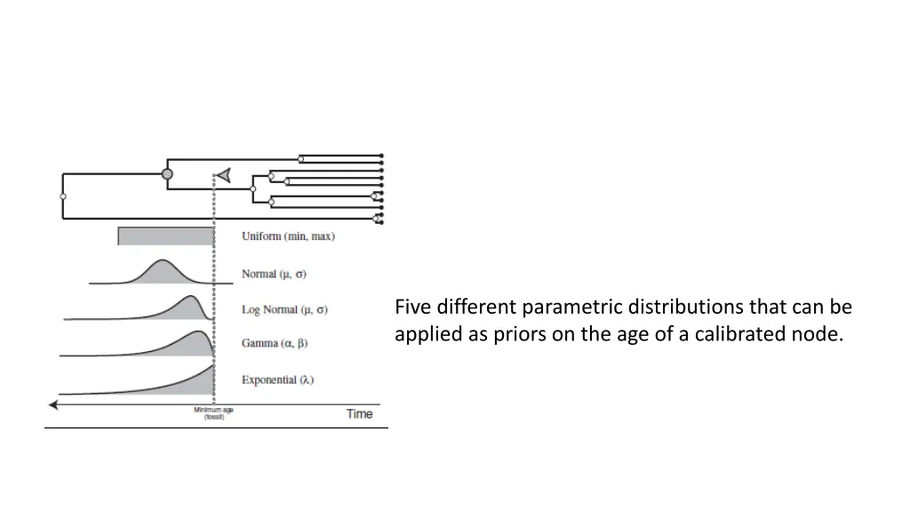 five different parametric distributions that