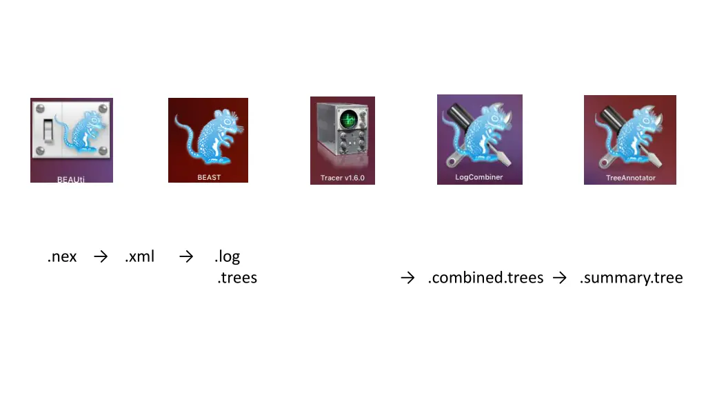 nex xml log