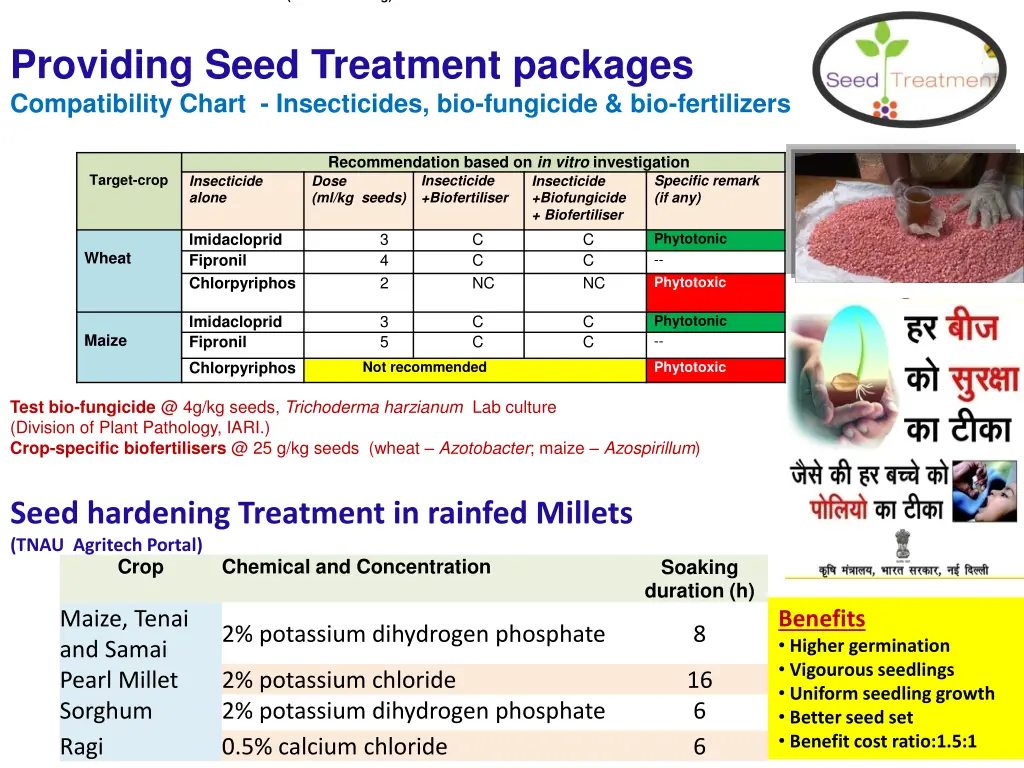 seed treatment for rainfed millet cultivation