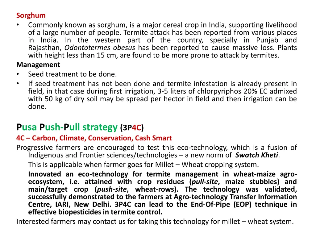 sorghum commonly known as sorghum is a major
