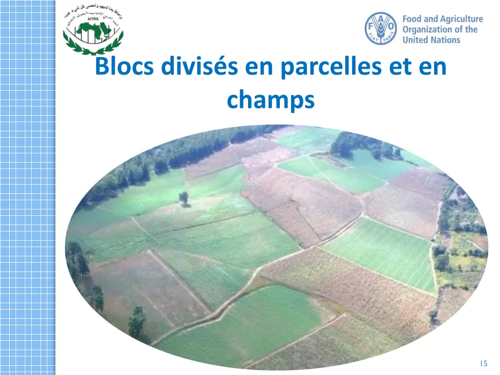 blocs divis s en parcelles et en champs