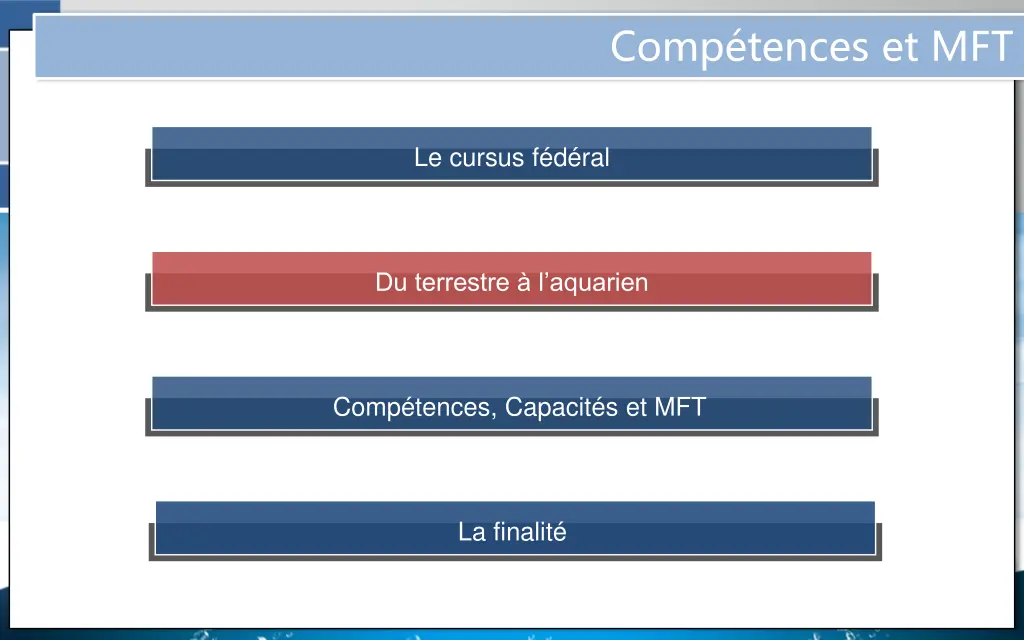 comp tences et mft 2
