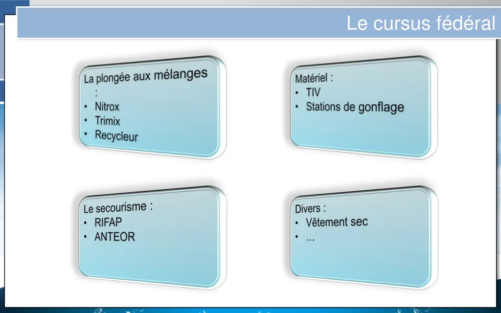 le cursus f d ral 1