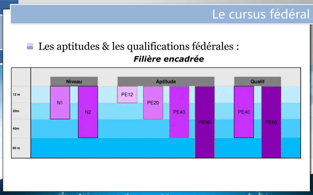 le cursus f d ral 3